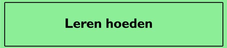 Leren Hoeden
