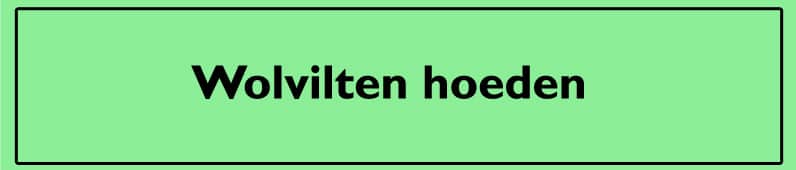 Wolviten Hoeden