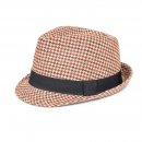 A1778 - MENS CHECKED TRILBY